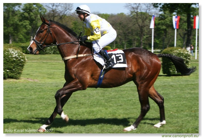 Bratislava - 22. aprla 2007
