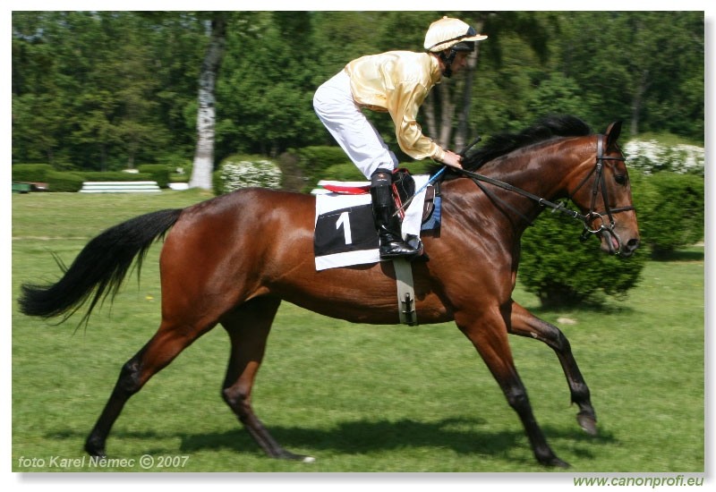 Bratislava - 29. aprla 2007