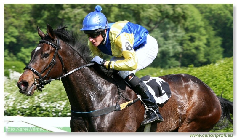 Bratislava - 29. aprla 2007