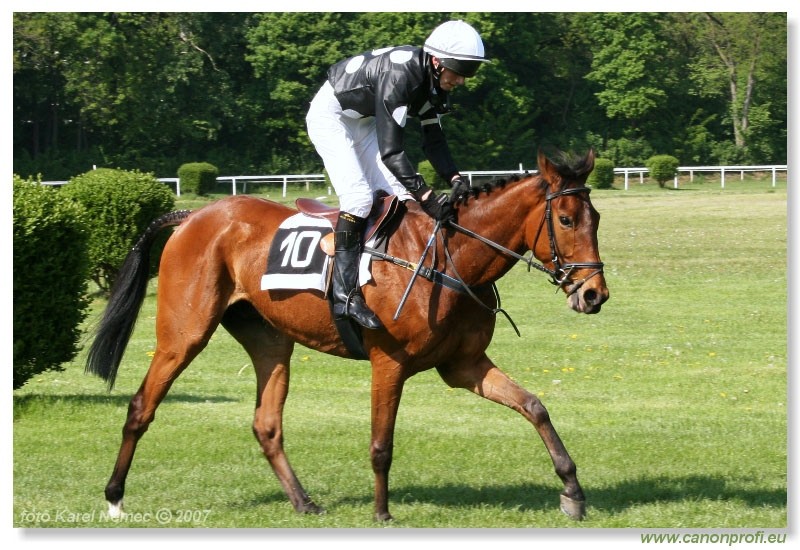 Bratislava - 29. aprla 2007