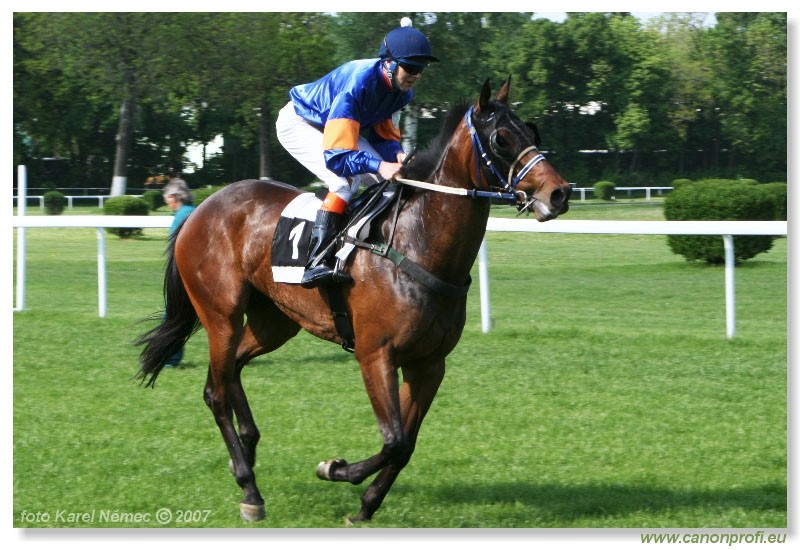Bratislava - 29. aprla 2007