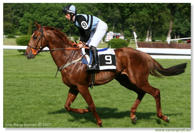 Bratislava - 29. aprla 2007