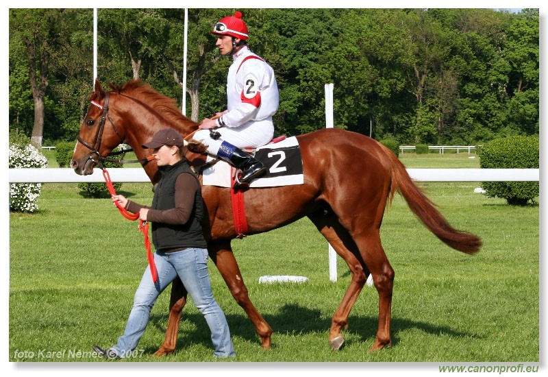 Bratislava - 29. aprla 2007