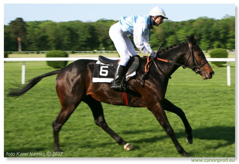 Bratislava - 29. aprla 2007