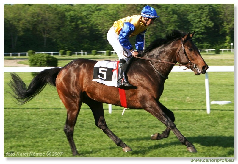 Bratislava - 29. aprla 2007