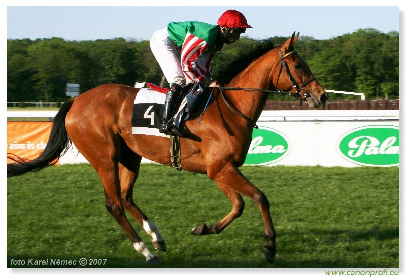 Bratislava - 29. aprla 2007