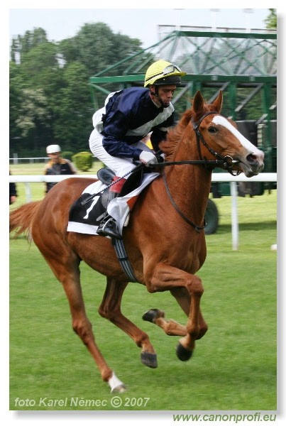 Bratislava - 13. mja 2007