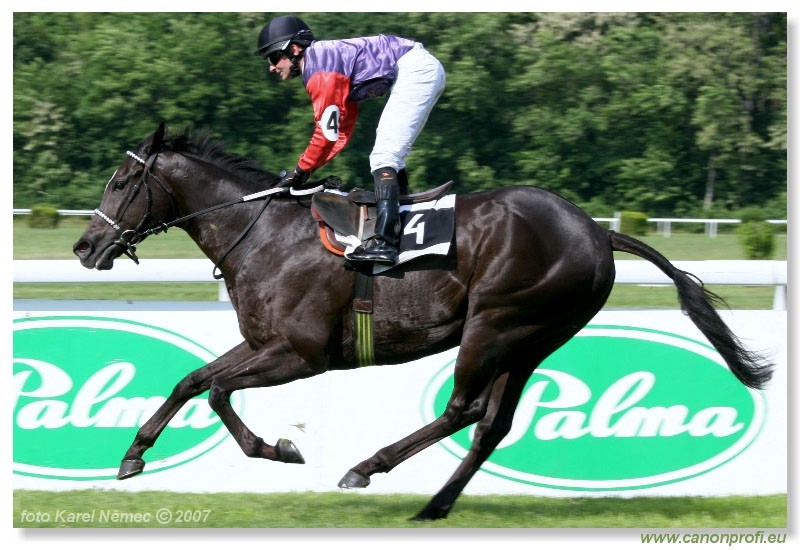 Bratislava - 13. mja 2007