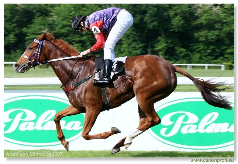 Bratislava - 13. mja 2007