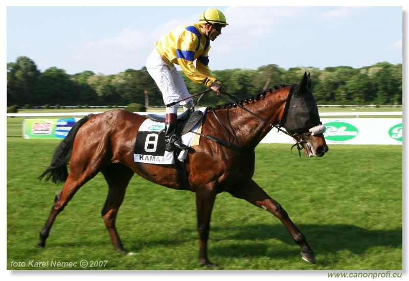 Bratislava - 13. mja 2007