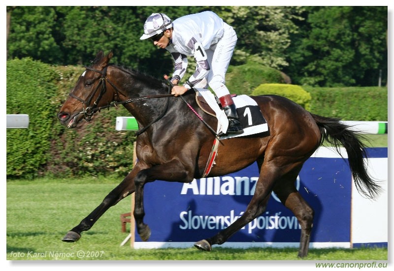 Bratislava - 13. mja 2007