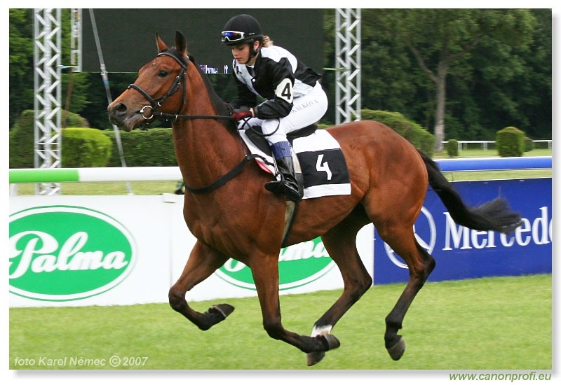 Bratislava - 3. jna 2007
