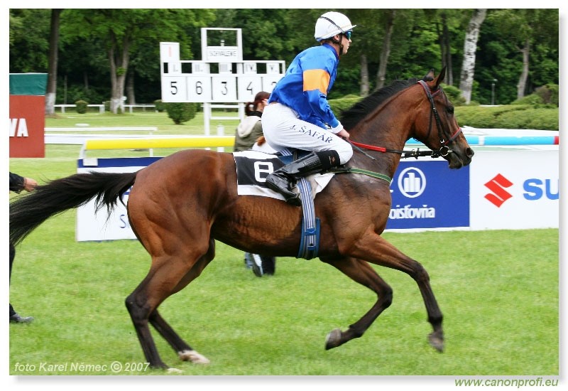 Bratislava - 3. jna 2007