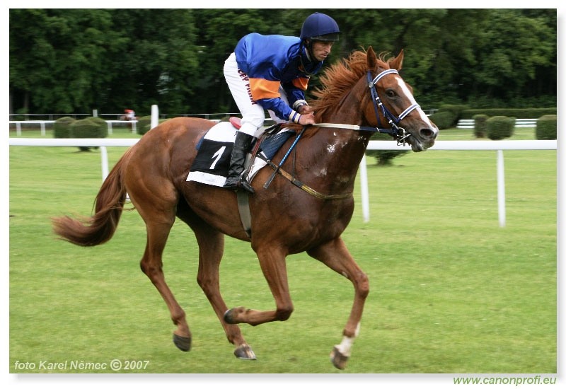 Bratislava - 3. jna 2007