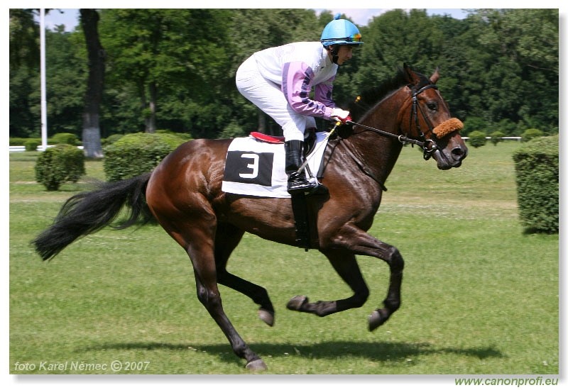 Bratislava - 17. jna 2007