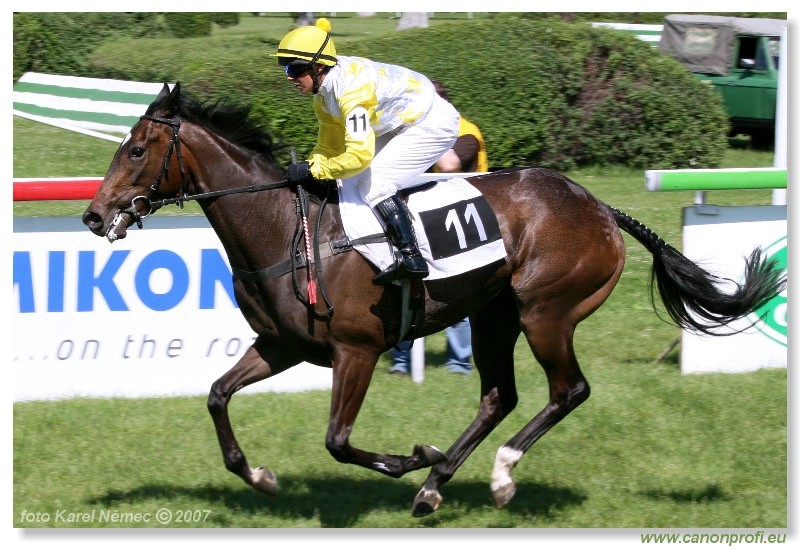 Bratislava - 17. jna 2007
