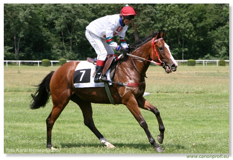 Bratislava - 24. jna 2007