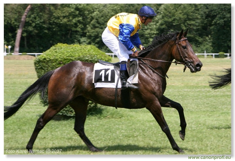 Bratislava - 24. jna 2007