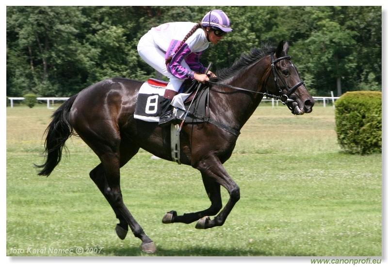 Bratislava - 24. jna 2007