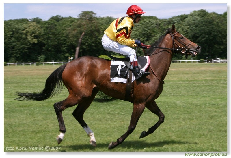Bratislava - 24. jna 2007