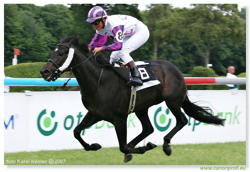 Bratislava - 24. jna 2007