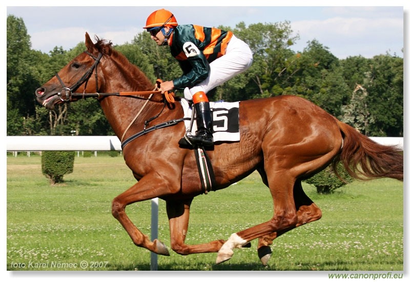 Bratislava - 24. jna 2007