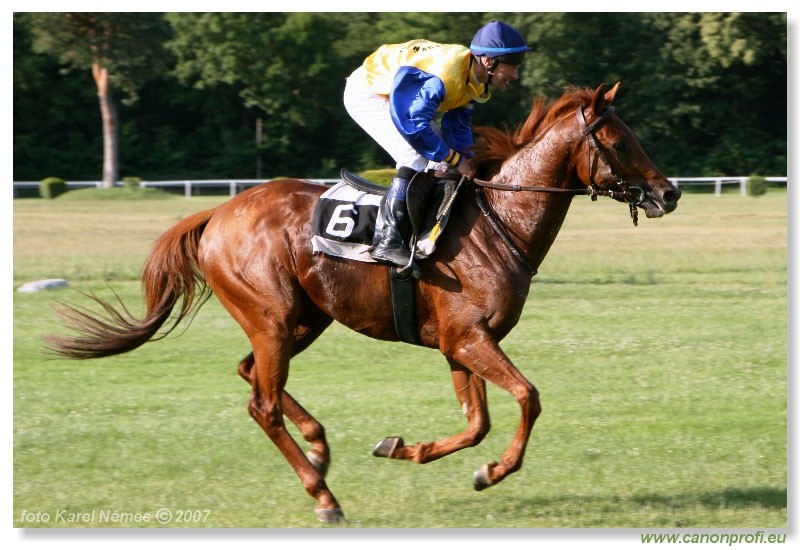 Bratislava - 24. jna 2007