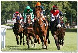 Derby-Trial  