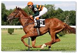 Derby-Trial  