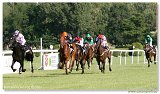 Derby-Trial  