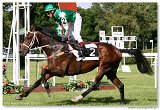 Derby-Trial  