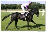 Derby-Trial  