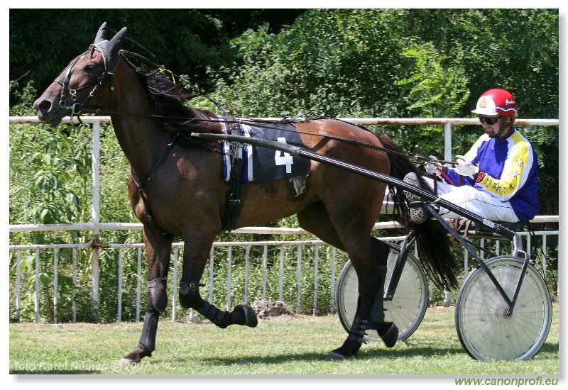 Bratislava - 1. jla 2007