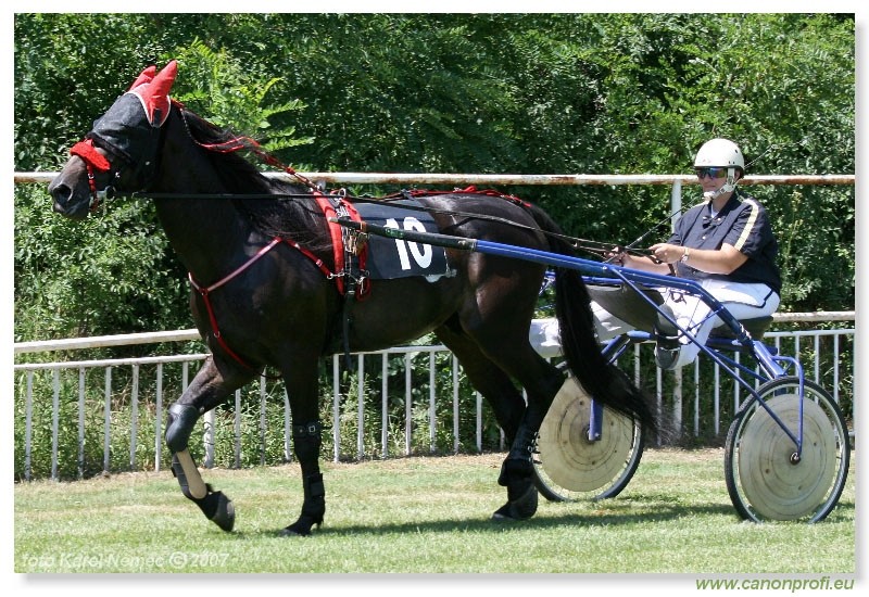 Bratislava - 1. jla 2007