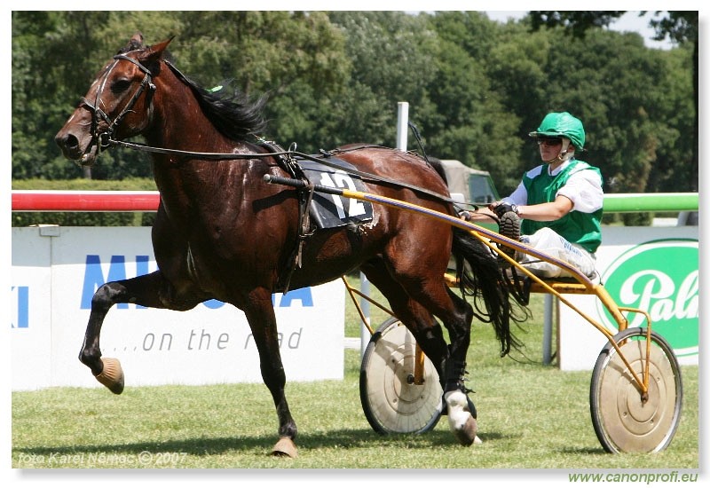 Bratislava - 1. jla 2007