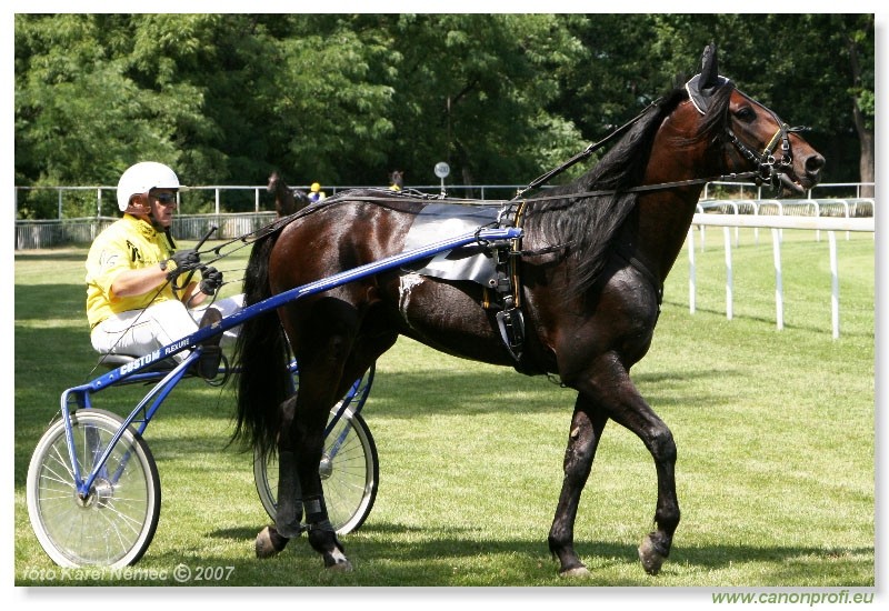 Bratislava - 1. jla 2007