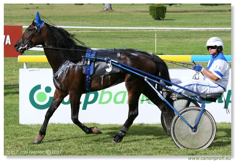 Bratislava - 1. jla 2007