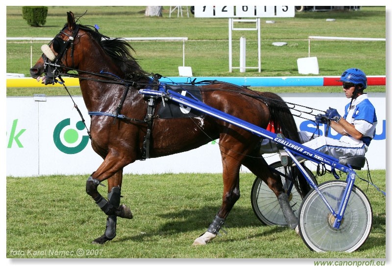Bratislava - 1. jla 2007