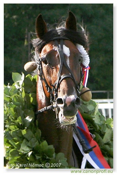 Bratislava - 1. jla 2007