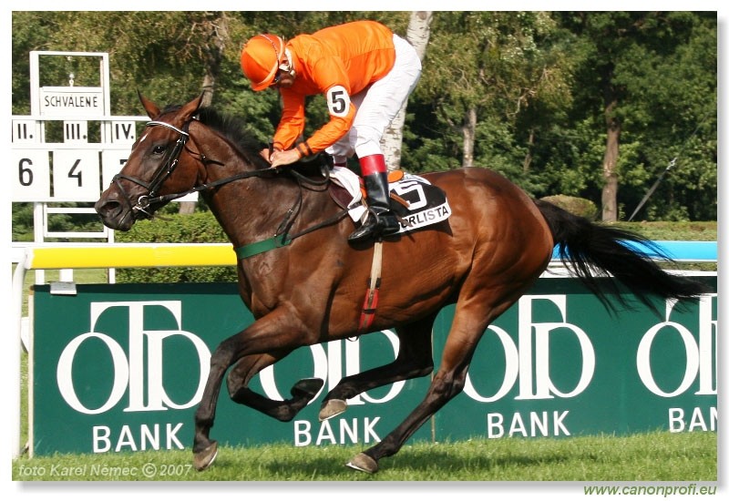 Bratislava - 22. jla 2007