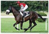 Derby 