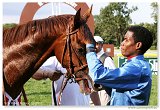 Derby 