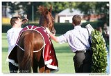 Derby 