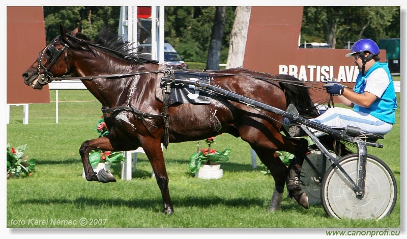 Bratislava - 26. augusta 2007