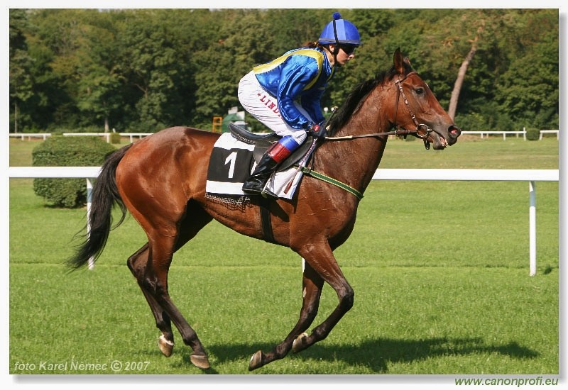 Bratislava - 26. augusta 2007