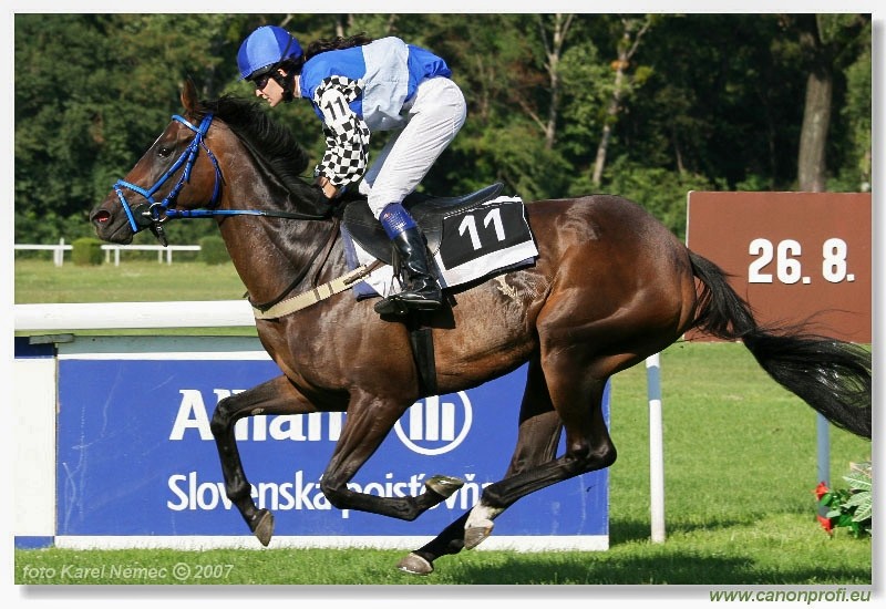 Bratislava - 26. augusta 2007