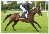 Oaks 