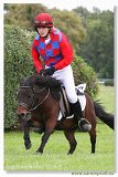 pony I 
