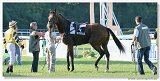 Saint Leger CHARVT 