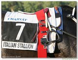 Saint Leger CHARVT 